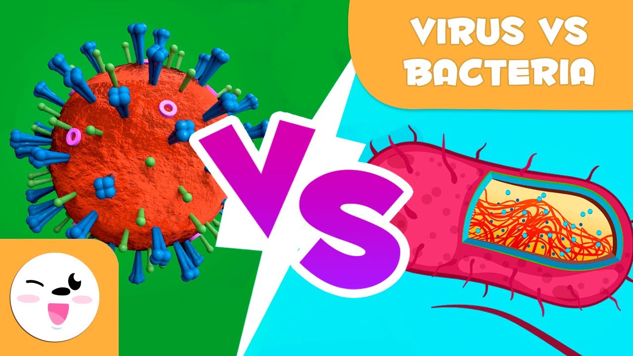 Virus vs virus. Вирус y231. Троб 30 см вирус. Для протива вирус Хепсивир.